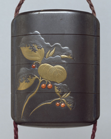 雪を被った藪柑子